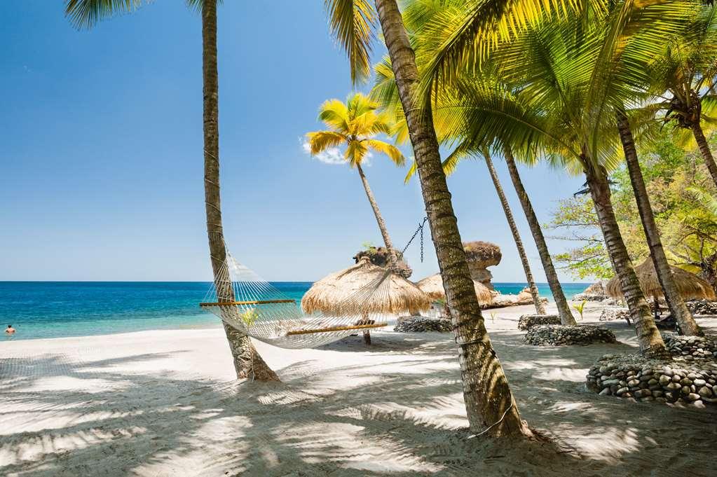 Anse Chastanet Resort Soufriere Nature photo