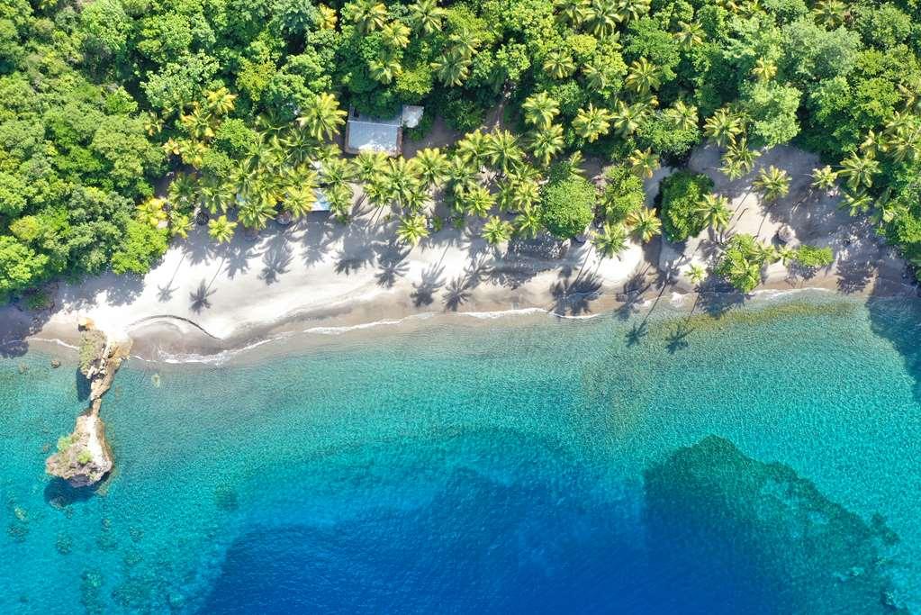 Anse Chastanet Resort Soufriere Nature photo